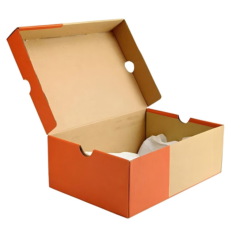 Multi-functional Carton Forming Machine